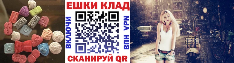 закладки  Тайга  ЭКСТАЗИ Philipp Plein 