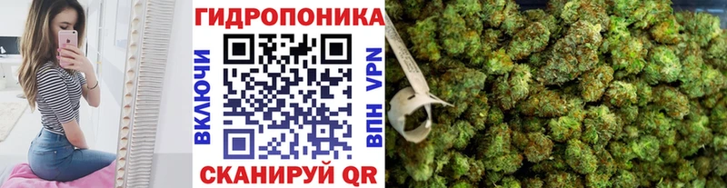 купить   Тайга  МАРИХУАНА гибрид 